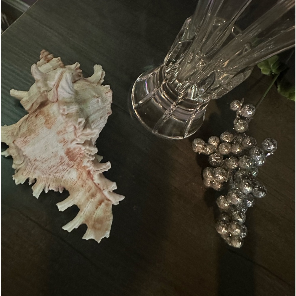 Seashell Decor - Picture 6 of 6